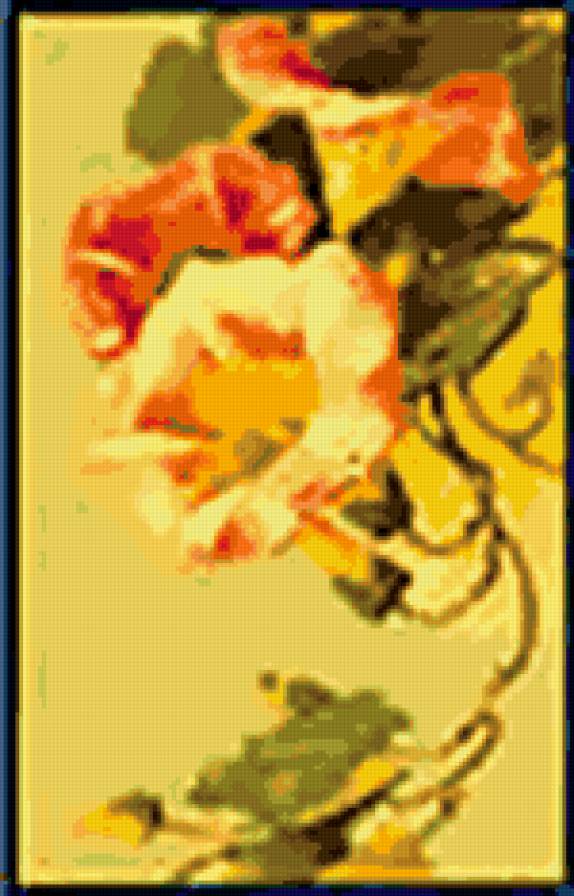 вьюнок - предпросмотр