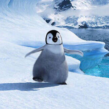 Схема вышивки «pingvin»