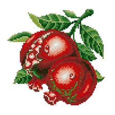 Схема вышивки «лопнувший гранат»