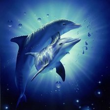Схема вышивки «delfini»
