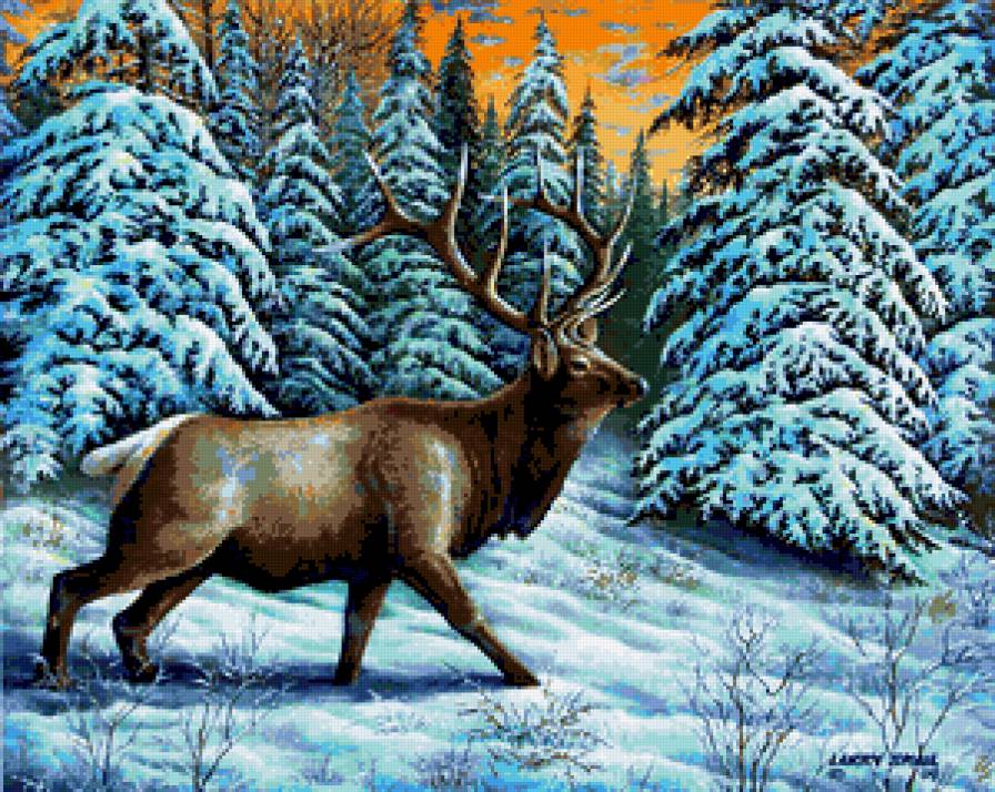 Олень зимой - снег, елки, олени, животные, сугробы, зима, олень, лес - предпросмотр