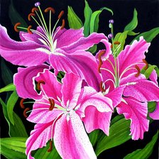 Схема вышивки «Лилии»