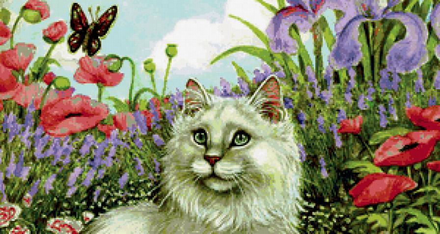 белая, пушистая - кошка - предпросмотр