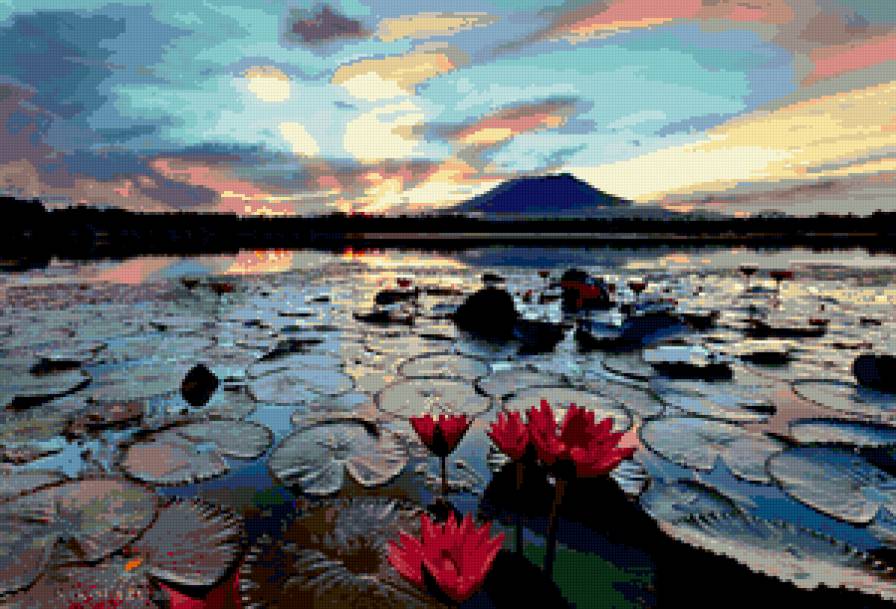 Закат - пейзаж, природа, лилия, красиво, вода, закат, лотос, небо - предпросмотр