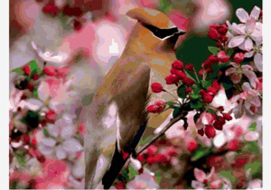 Птичка в цветах - вишня, весна, цветы, птица - предпросмотр