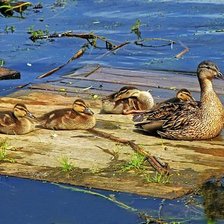 Схема вышивки «путешественники»