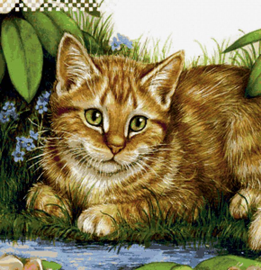 красавчик - котенок - предпросмотр