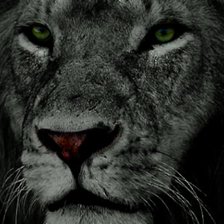 Схема вышивки «Красивый взгляд»