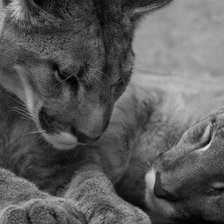 Схема вышивки «молодая пара»