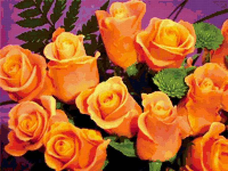 желтые розы - цветы - предпросмотр