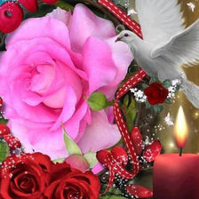 Схема вышивки «роза и голубь»