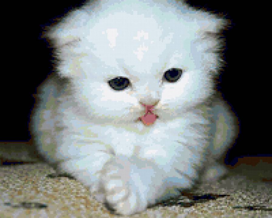 снежок - котята - предпросмотр