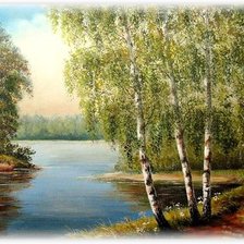 березы у реки