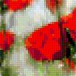 Предпросмотр схемы вышивки «маки» (№390336)