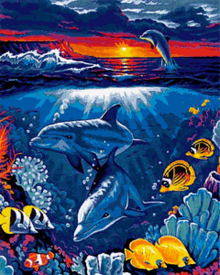 delfini - animals, delfini - предпросмотр