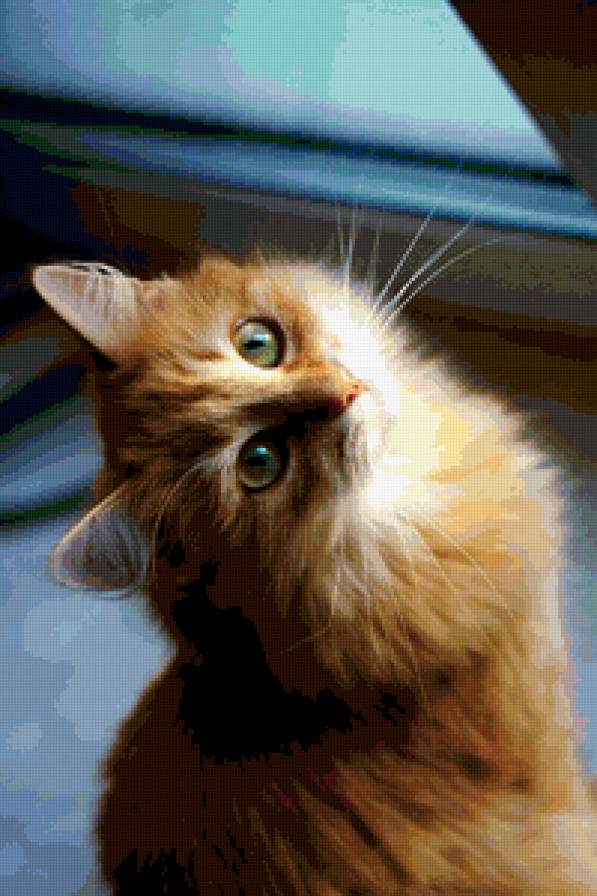 Рыжик - предпросмотр