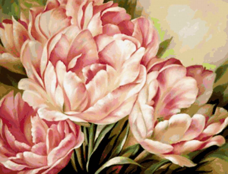 Серия "Букет" - цветы, букет, пионы - предпросмотр