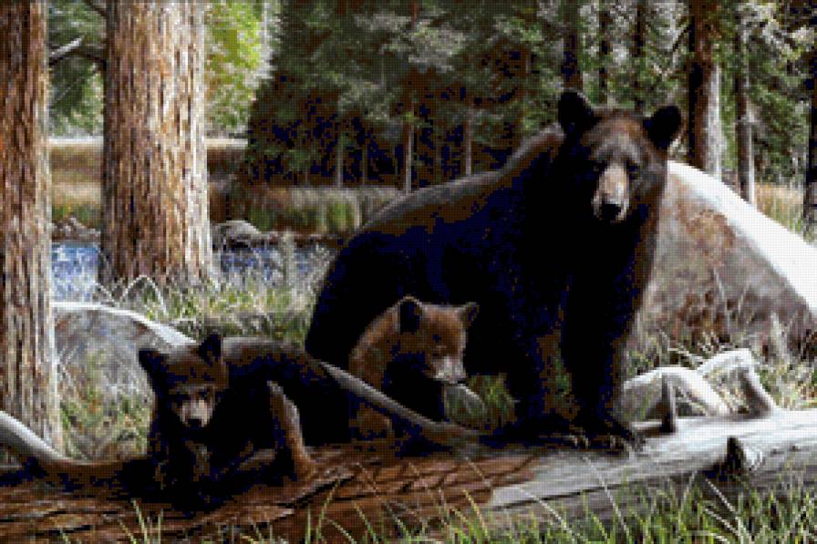 №390492 - охота, орлы, утки, птицы, дикая природа, олени, медведи, волки - предпросмотр