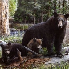 Схема вышивки «№390492»