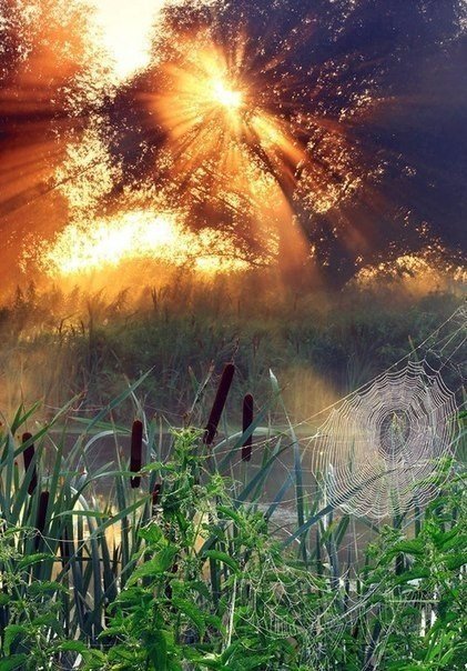 Вечер - оригинал