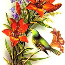 Схема вышивки «№390605»