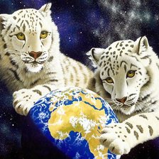 Схема вышивки «Ирбисы»