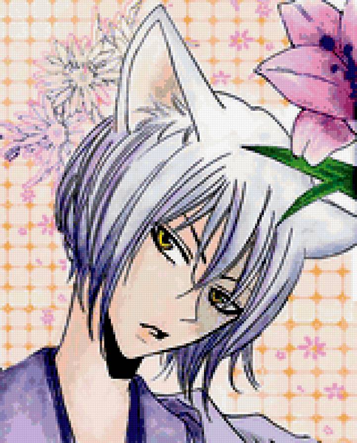 Томоэ Кун - демон лис, аниме - предпросмотр