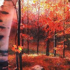 Багряная осень
