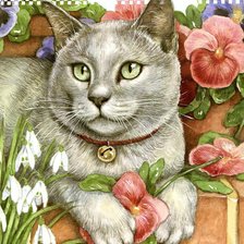 Схема вышивки «котофей»