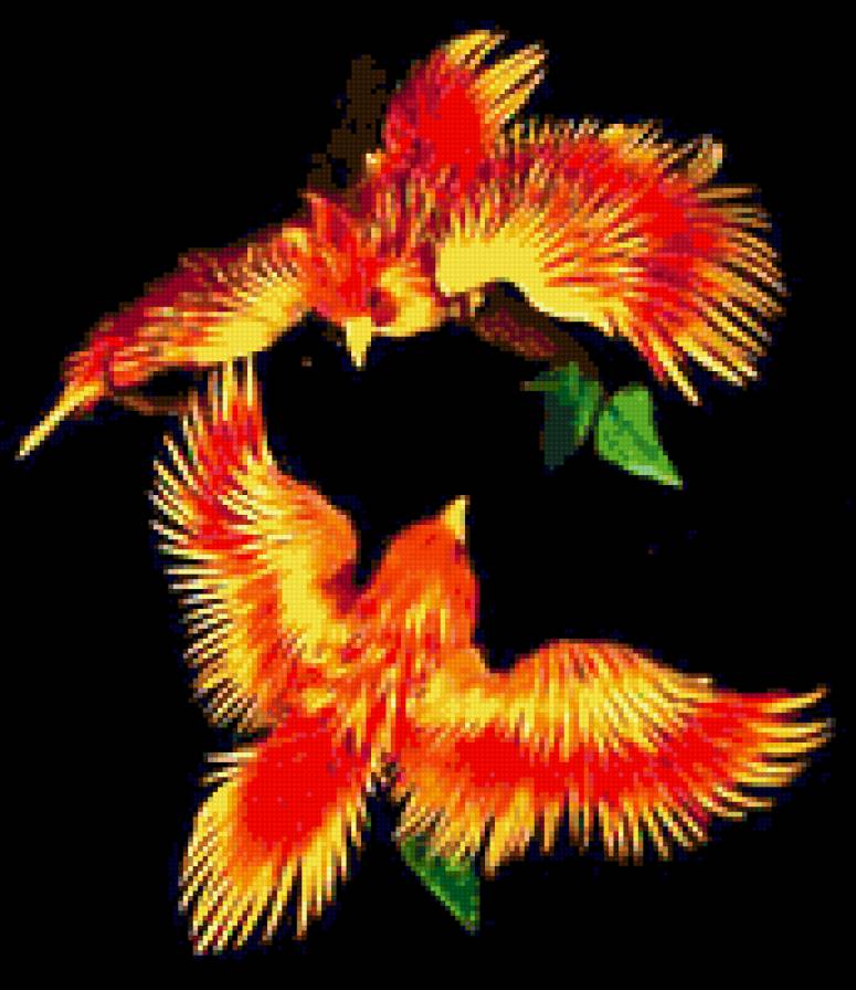 феникс - птицы - предпросмотр