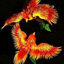 Схема вышивки «феникс»