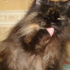 Схема вышивки «Фроська»