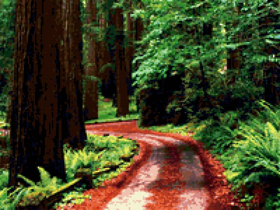 лесная дорога - пейзаж - предпросмотр