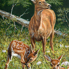 Схема вышивки «олени в лесу»