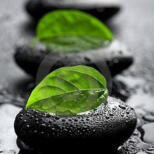 Схема вышивки «Черно-зеленый»