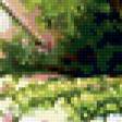 Предпросмотр схемы вышивки «Пионы» (№391386)