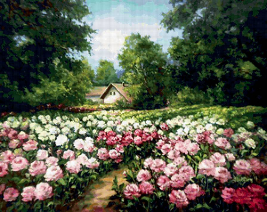 Пионы - дом, пейзаж, цветы, сад, пионы - предпросмотр