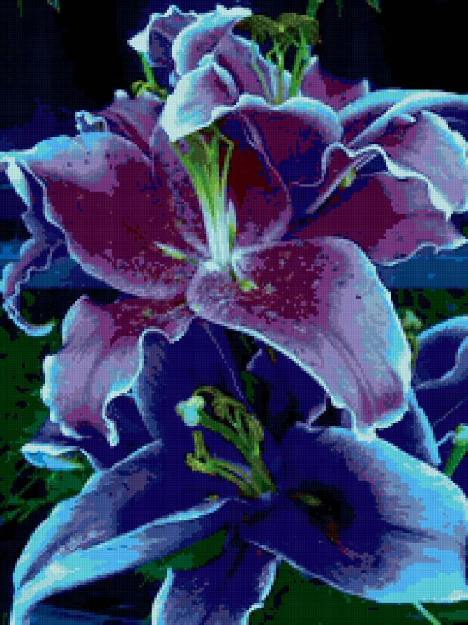 Сиреневые лилии - лилии, цветы - предпросмотр