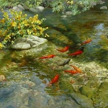 Схема вышивки «Золотые рыбки»