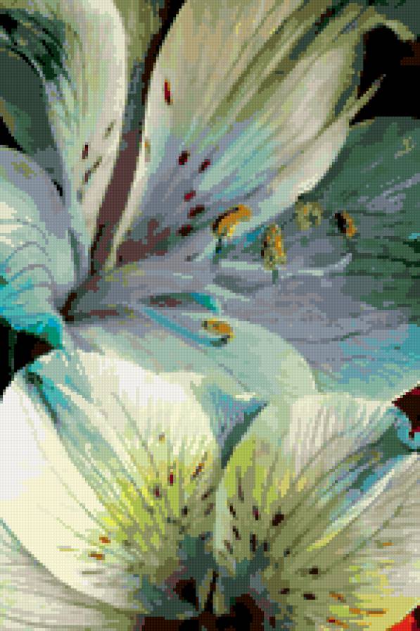 Лилии - цветы, лилия - предпросмотр