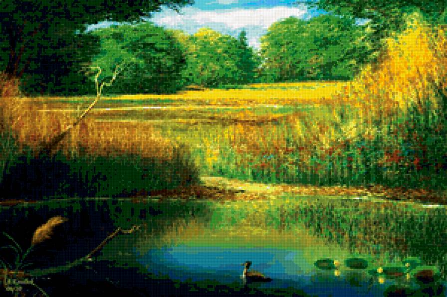 Утка - пруд, река, птицы, утка, пейзаж - предпросмотр