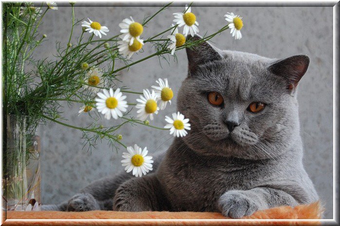 для души - оригинал