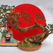 бонсай с девушками