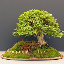бонсай с домиком