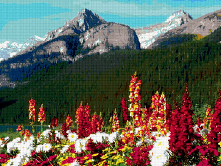 пейзаж - горы, цветы, пейзаж - предпросмотр