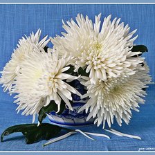 Схема вышивки «Серия "Букет"»