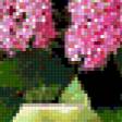 Предпросмотр схемы вышивки «Серия "Букет"» (№391724)