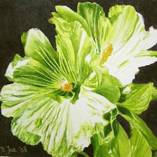 Схема вышивки «Серия "Букет"»