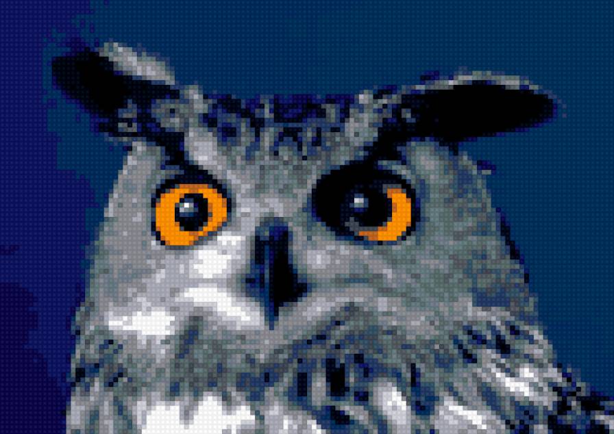 совушка - птица, сова - предпросмотр