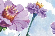 Схема вышивки «ЦВЕТОЧКИ»